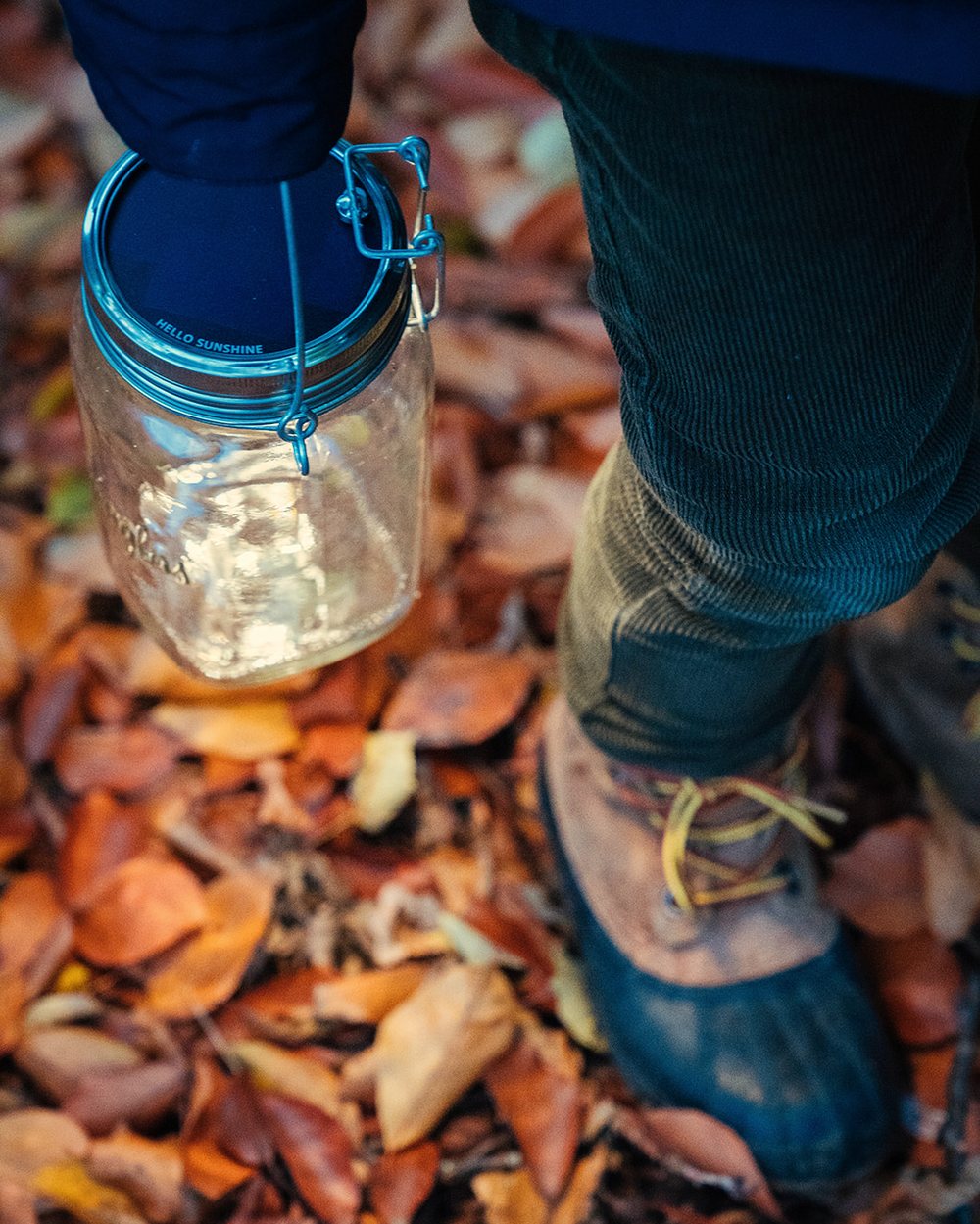 A solar lamp carried over autumn leaves